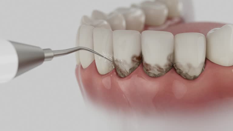 Reliable Dental contractor in Pensacola Station, FL by Dentist Open Now